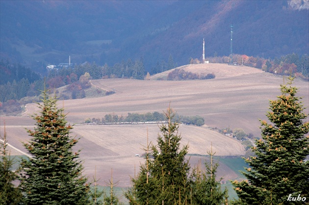 z Ľubietovskej bukoviny....