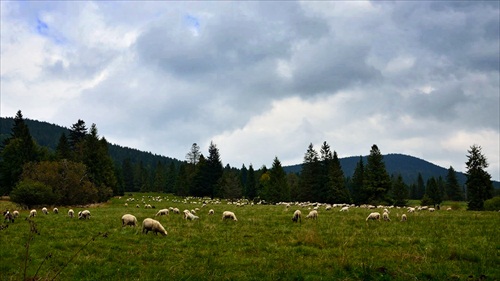 Oravice, Juráňová dolina