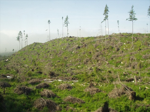 Tatry 06/2007