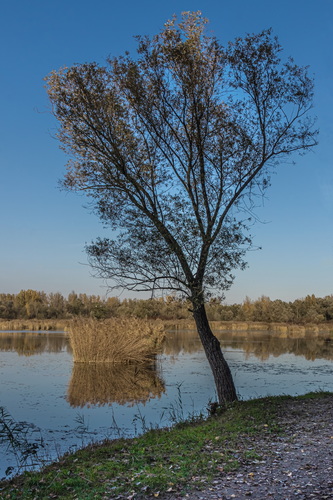 Jesenná štrkovňa