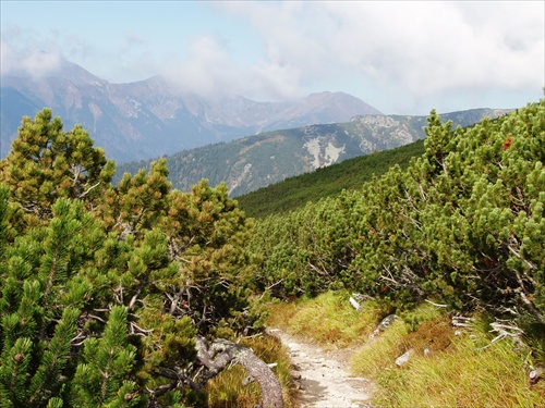 vysoke tatry