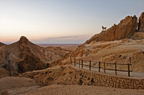 Chébika :: Tunisia