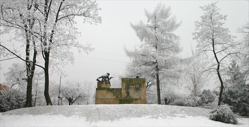 TRNAVA - Bernolák