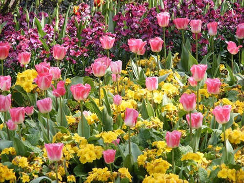 St. James Park in London