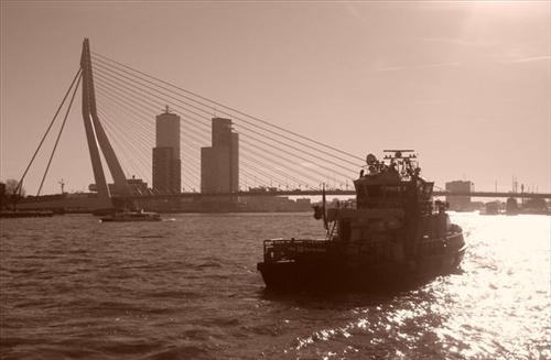 rotterdam