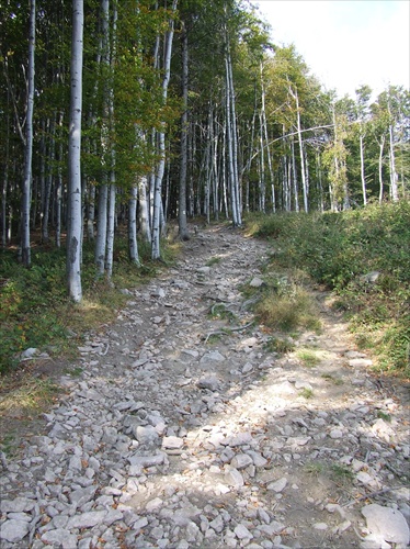 ...cestou na Šimonku /Prešov/