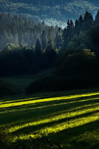 podvečer na kvašnych lúkach