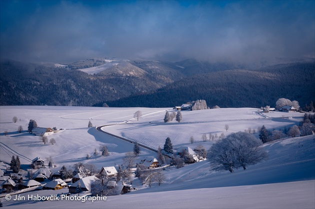 Hofsgrund