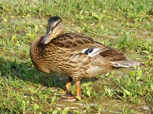 bez názvu