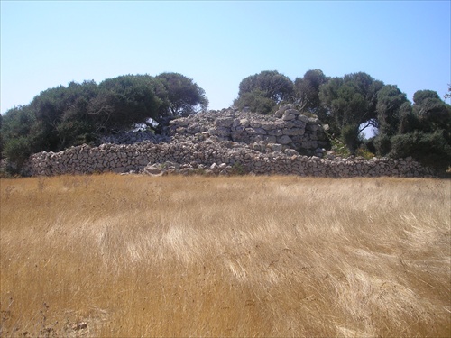 Field of gold