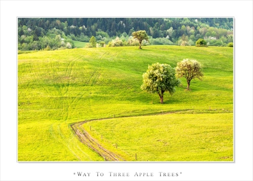 * WAY TO THREE APPLE TREES *