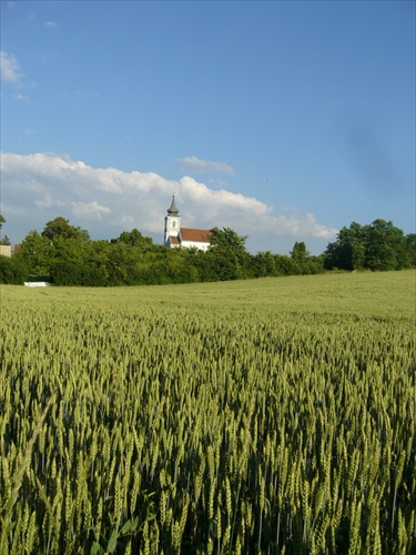 Bez názvu