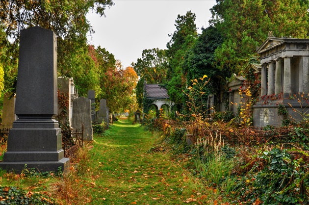 Zentralfriedhof Wien