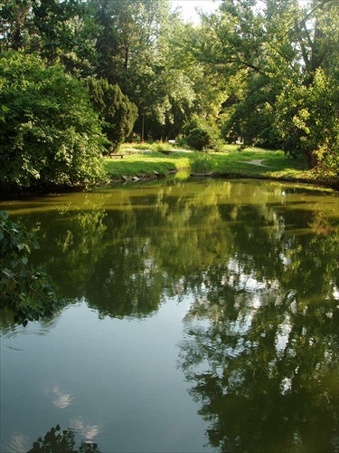 V záplave zelene