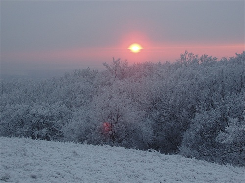 Slnko nad zimou