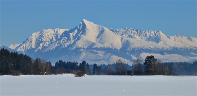 Kriváň