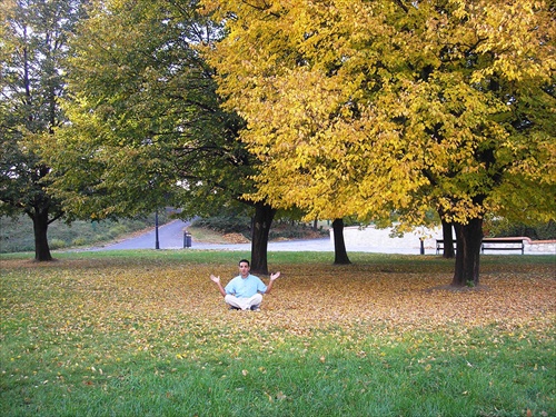 Malý budha