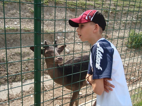 ZOO Košice