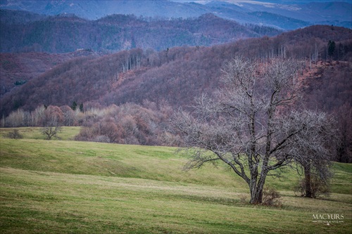 pred časom