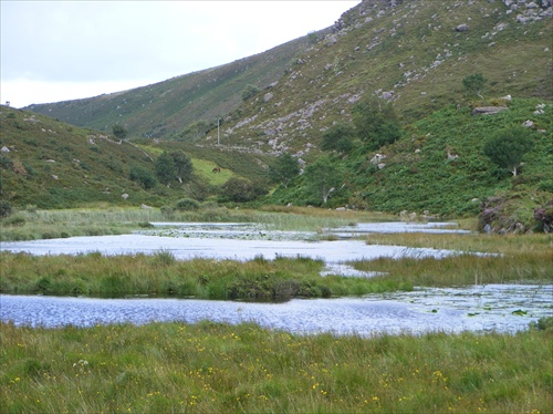 Ring of Kerry2