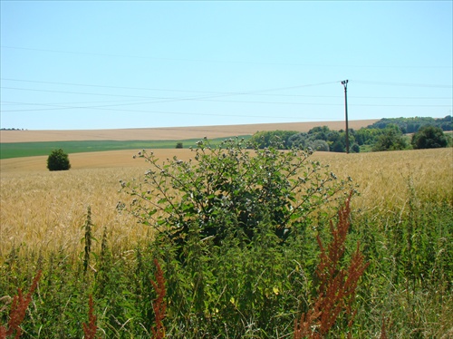 za Sobotišťom