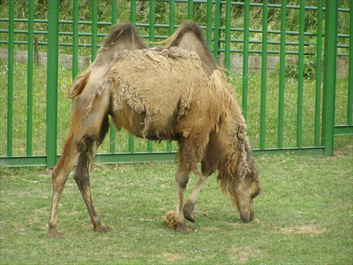 Bez názvu