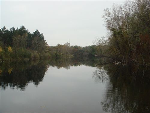 Biskupické rameno