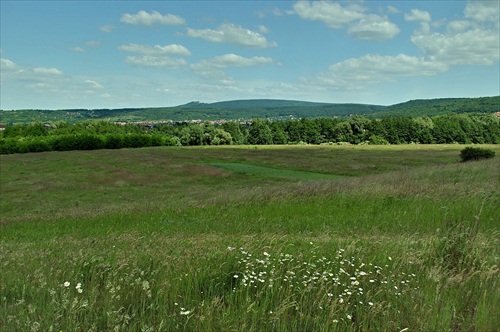 Záhorská nížina