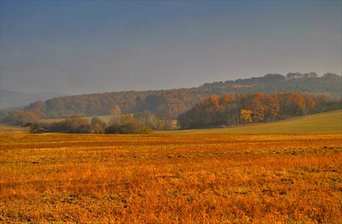 V Malých karpatoch