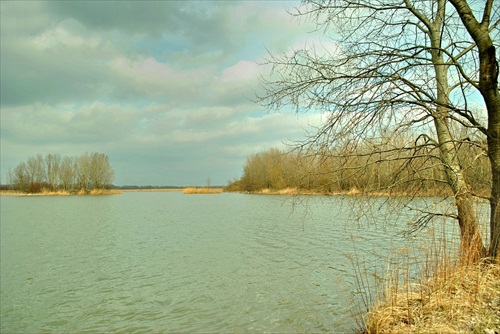 Polder II