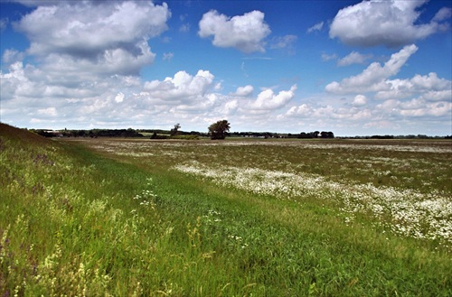 Pod hrádzou