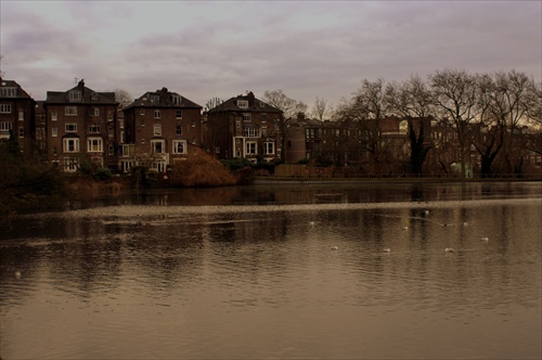 Hampstead Heath