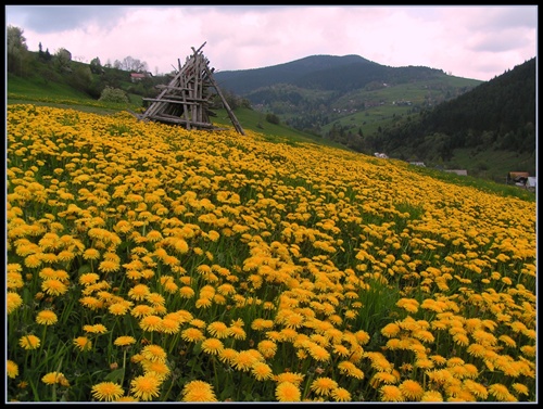 Zázrivá v máji 2004