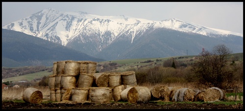 Pohladnica plná slamy :)