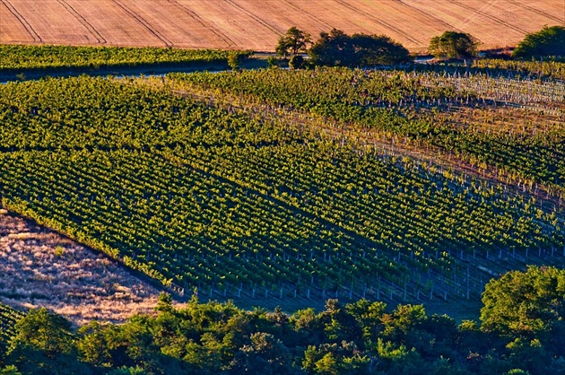 Ráno nad Vinicou