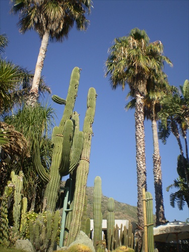 Na ostrove Ischia