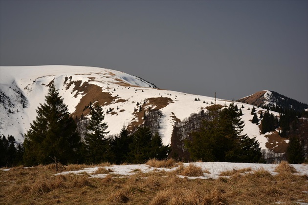 Ploská a Borišov