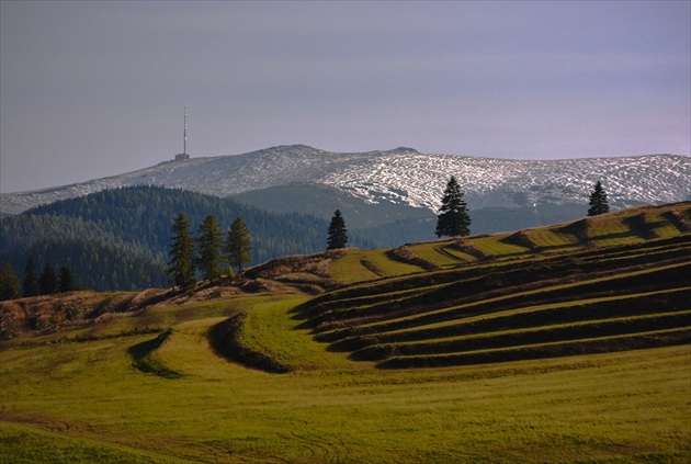 nad Lipt. Tepličkou