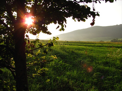 letné pohľady