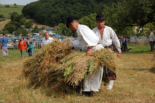 Hontianska paráda - Hrušov 2008