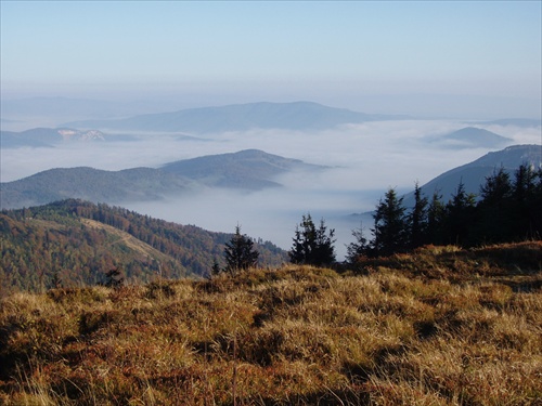 Na Kojšovskej holi