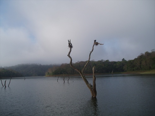 Peryiar Lake