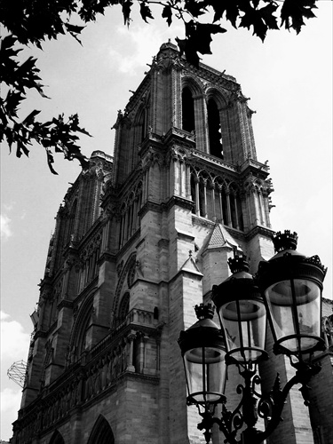 notre dame