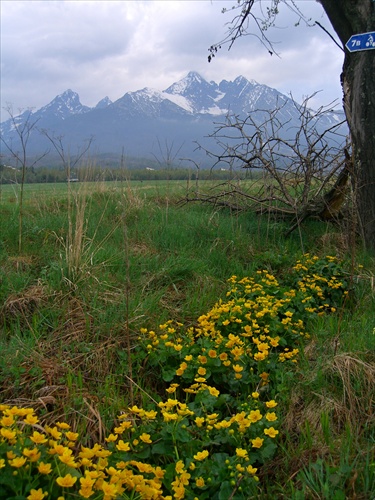 Jarná nálada.