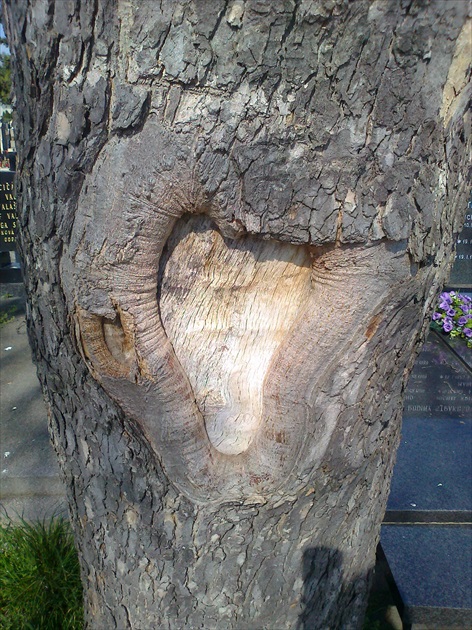 WoodLove