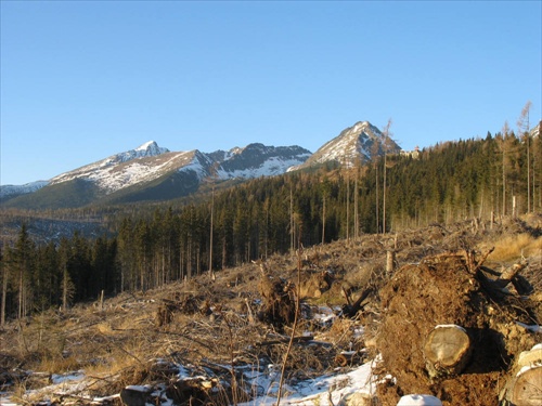 Tatry po kalamite