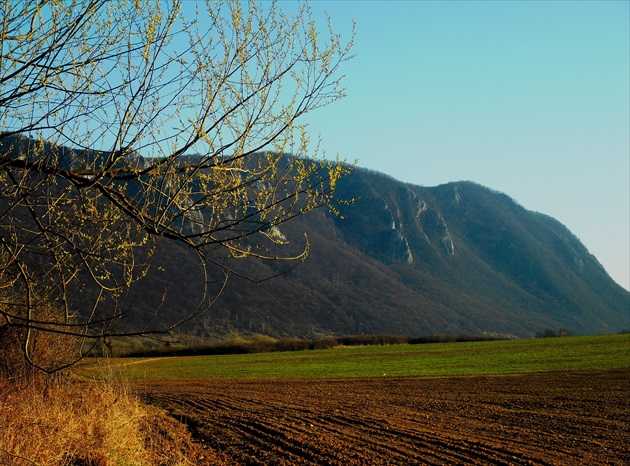 pod planinou