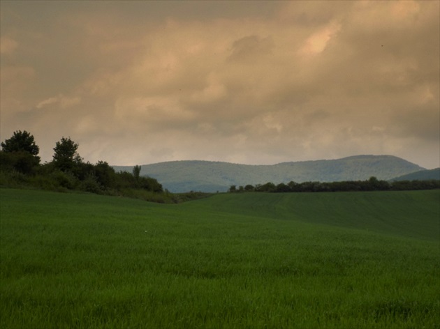 nedeľná pohoda