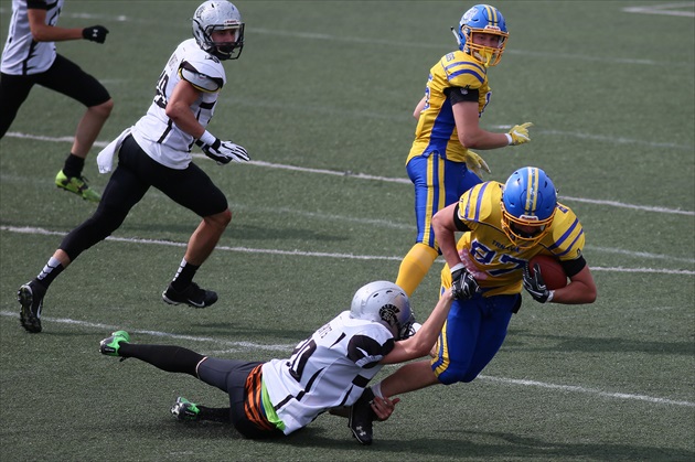 Nitra Knights - Trnava Bulldogs  0 : 42