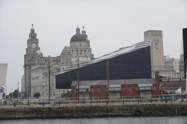 Liver Building